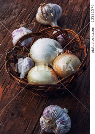 harvest onion harvest onion 13521576