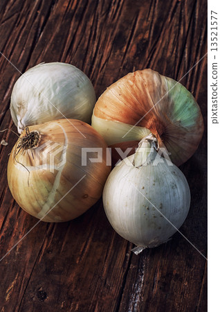 harvest onion harvest onion 13521577