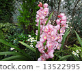 Syndicated 13522995