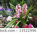 Syndicated 13522996