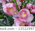 Syndicated 13522997