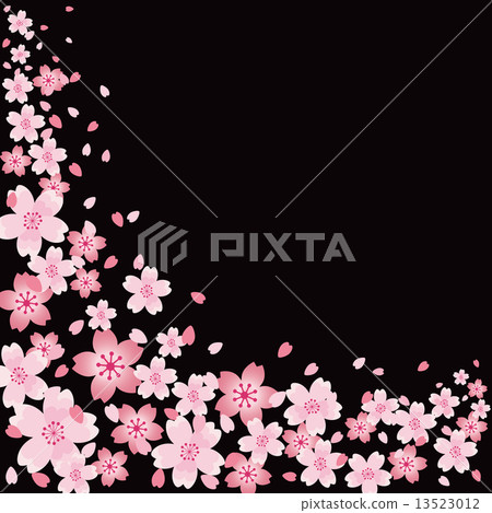 櫻桃背景 13523012
