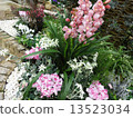 flower bed  13523034