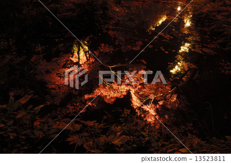 Yamaya Shrine inverted maple 13523811