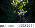 A train in the forest 13523954