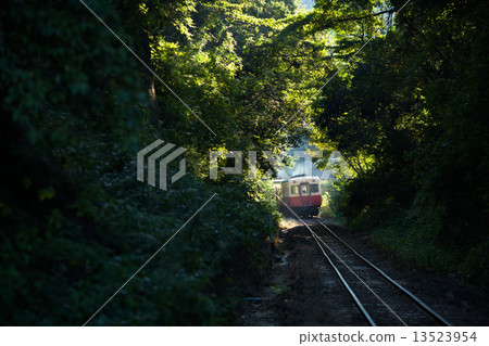 A train in the forest A train in the forest 13523954