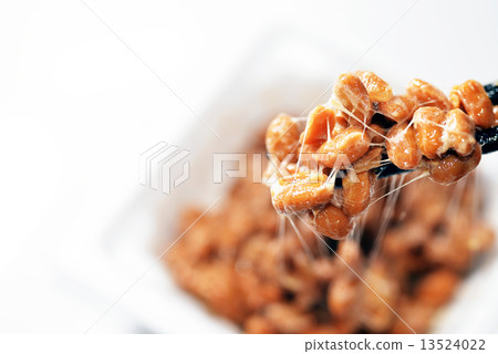 Natto Natto 13524022