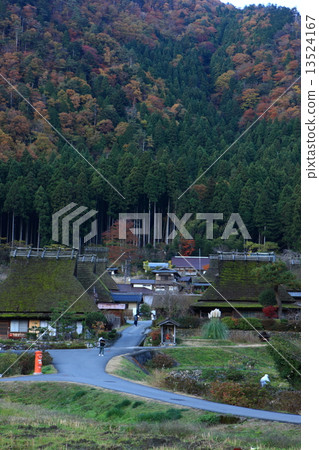 Miyama的秋葉 13524167