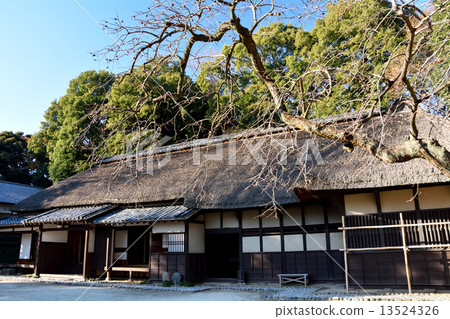 冬天烤屋頂 冬天烤屋頂 13524326