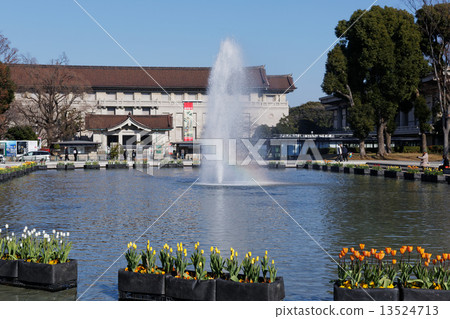 Ueno Park Fountain Square early blooming tulips and Tokyo National Museum Ueno Park Fountain Square early blooming tulips and Tokyo National Museum 13524713