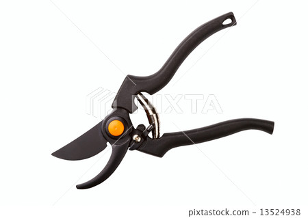 garden secateurs 13524938