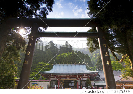 Oyama Akihi神社Torii Oyama Akihi神社Torii 13525229
