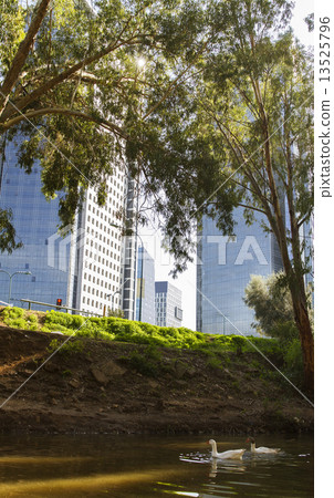 park on river bank 13525796