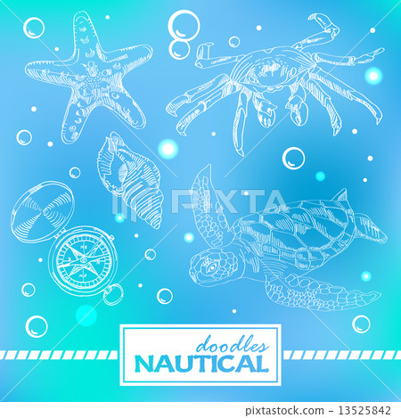 Set of nautical doodles with turtlesand crab 13525842