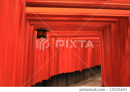 Fushimi Inari shrine torii Vermilion corridor 13525843
