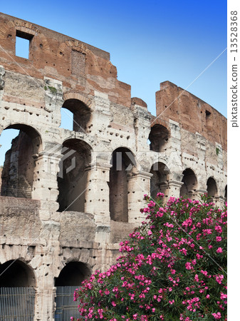 Italy. Rome. The ancient Collosseo 13528368