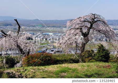 Spring of the Kyoto Jizo Zen temple 13528465
