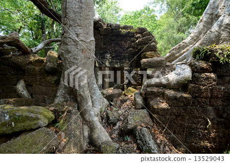 ASIA CAMBODIA ANGKOR TA PROHM 13529043