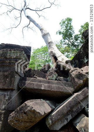 ASIA CAMBODIA ANGKOR TA PROHM 13529053