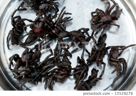 ASIA CAMBODIA SIEM RIEP ASIA CAMBODIA SIEM RIEP 13529278