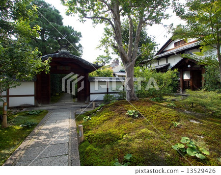 Kodaiji寺廟新綠色 Kodaiji寺廟新綠色 13529426