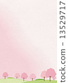 Row of cherry trees 13529717
