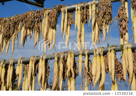 Dried radish 13530216