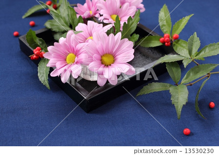 噴灑媽媽和一千 噴灑媽媽和一千 13530230