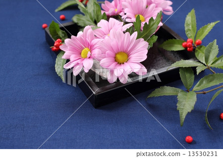 噴灑媽媽和一千 13530231