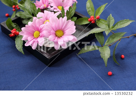 噴灑媽媽和一千 13530232