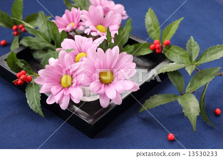 噴灑媽媽和一千 噴灑媽媽和一千 13530233