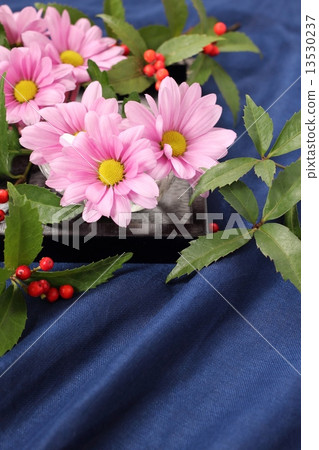 噴灑媽媽和一千 13530237