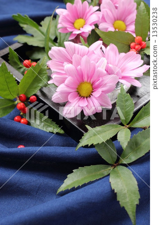 噴灑媽媽和一千 噴灑媽媽和一千 13530238