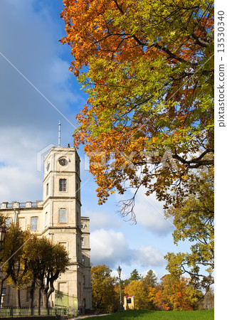 Russia,Gatchina, bright autumn tree in park near a palace Russia,Gatchina, bright autumn tree in park near a palace 13530340
