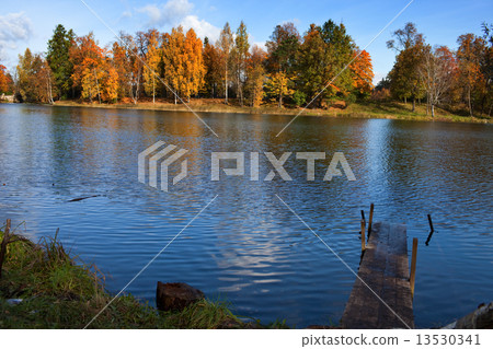 Russia. Saint-Petersburg. Gatchina. Autumn in palace park 13530341