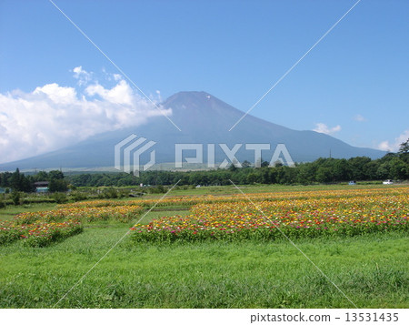 富士山·Hana no Miyako Park 1 富士山·Hana no Miyako Park 1 13531435