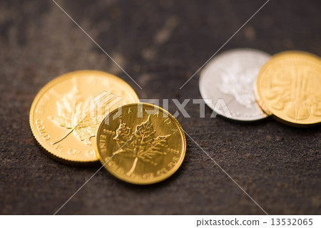 金幣 金幣 13532065