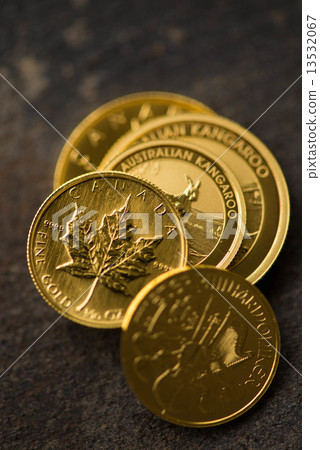 Gold coin Gold coin 13532067