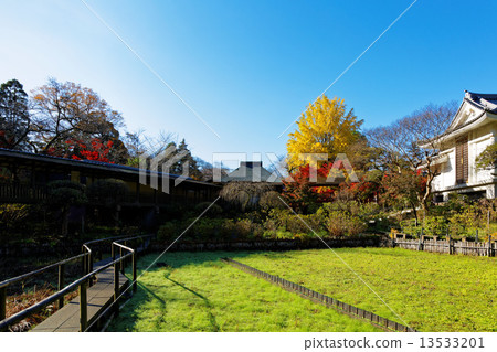 大陸寺廟秋葉 13533201