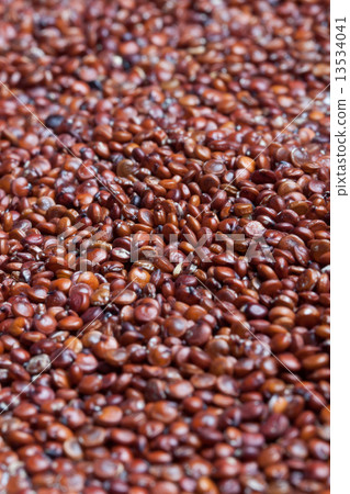 Red Quinoa 13534041
