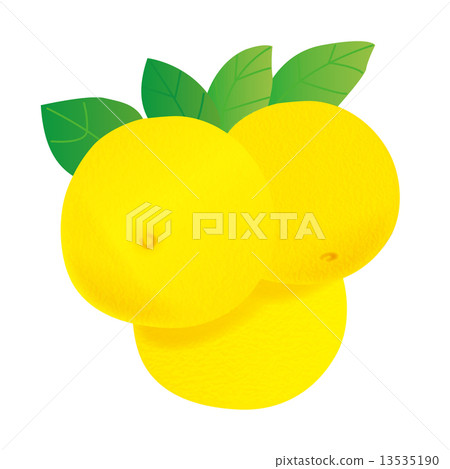 柚子 柚子 13535190