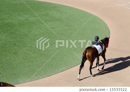 賽馬（圍場） 13535522