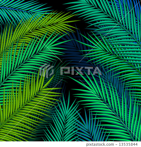 Tropical background with palm leaves. Vector illustration. Tropical background with palm leaves. Vector illustration. 13535844
