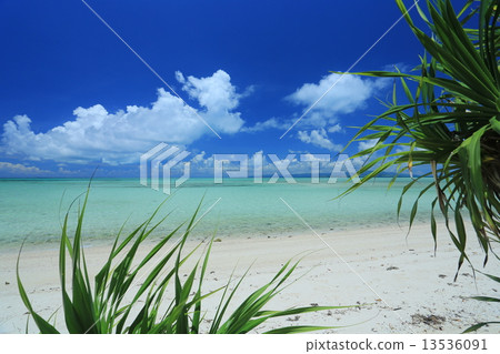 竹富島康多海灘 13536091