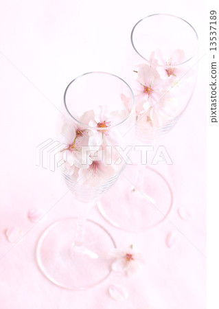 櫻桃樹·草2垂直02 13537189