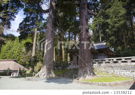 Baba Yoshimi神社神殿 Baba Yoshimi神社神殿 13539212