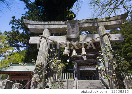 Miyahara Shrine Torii Torii 13539215