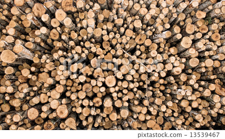 Firewood logs 13539467