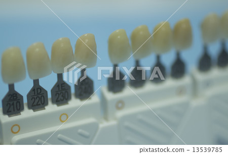 Dental tooth color guide for implants and crown colors 13539785