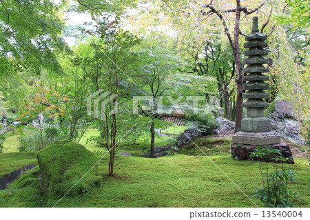 TakaraGenin 13540004